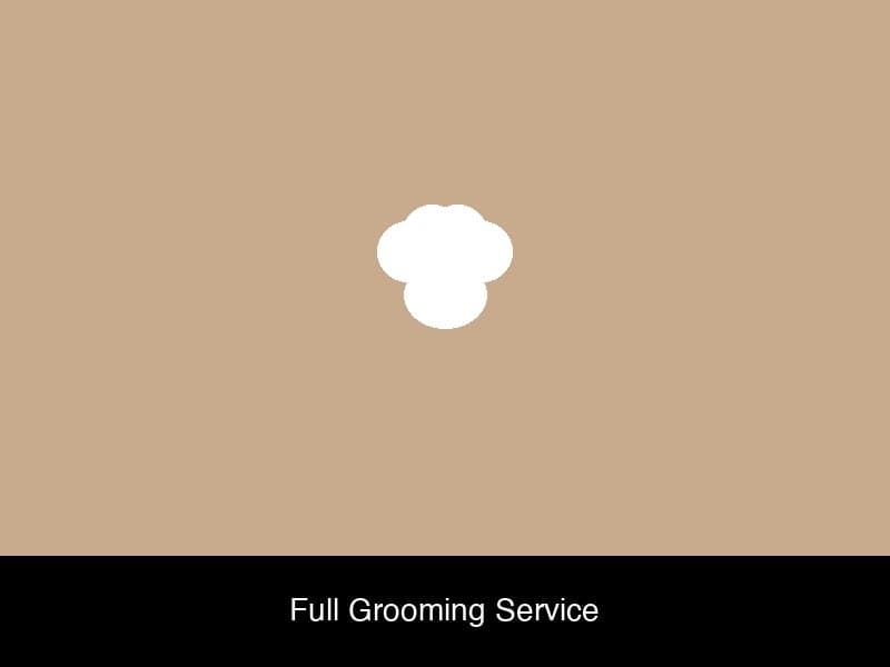 Dog grooming result 1