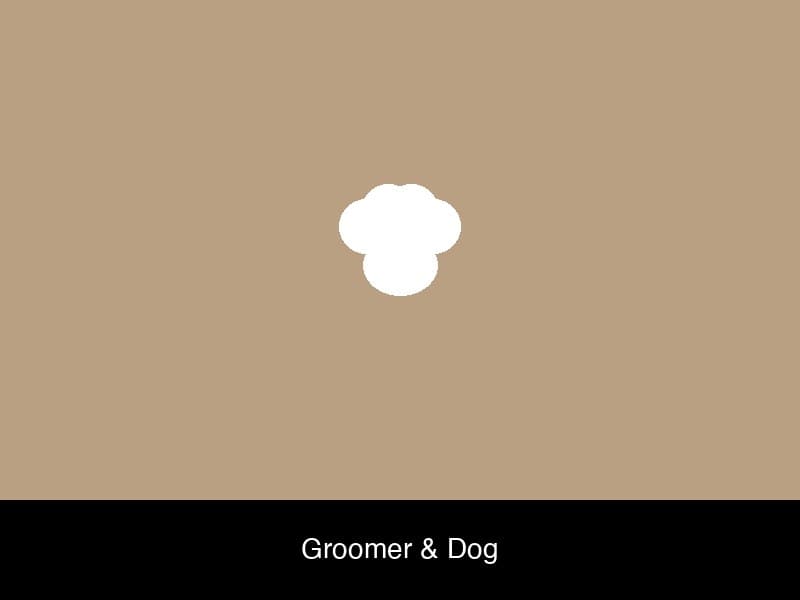 Dog grooming result 11
