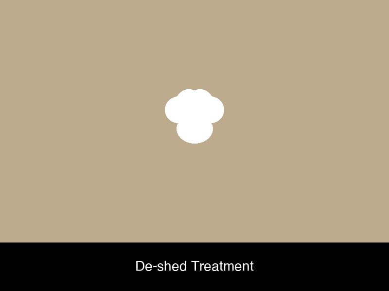 Dog grooming result 4