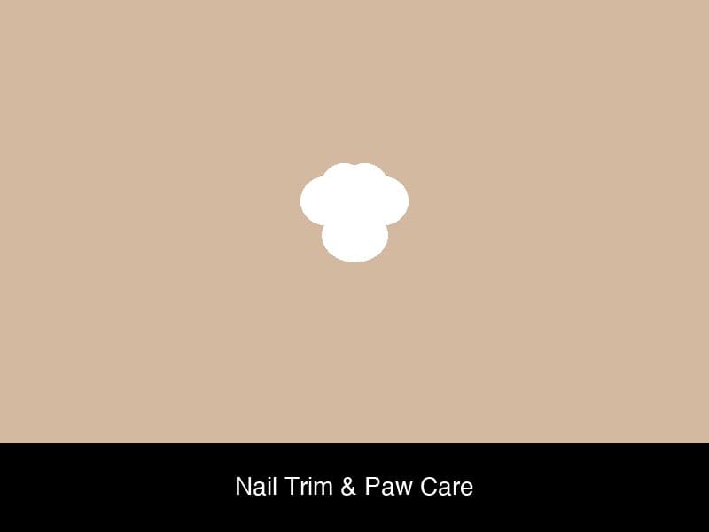 Dog grooming result 5