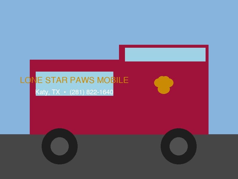 Lone Star Paws Mobile grooming van exterior